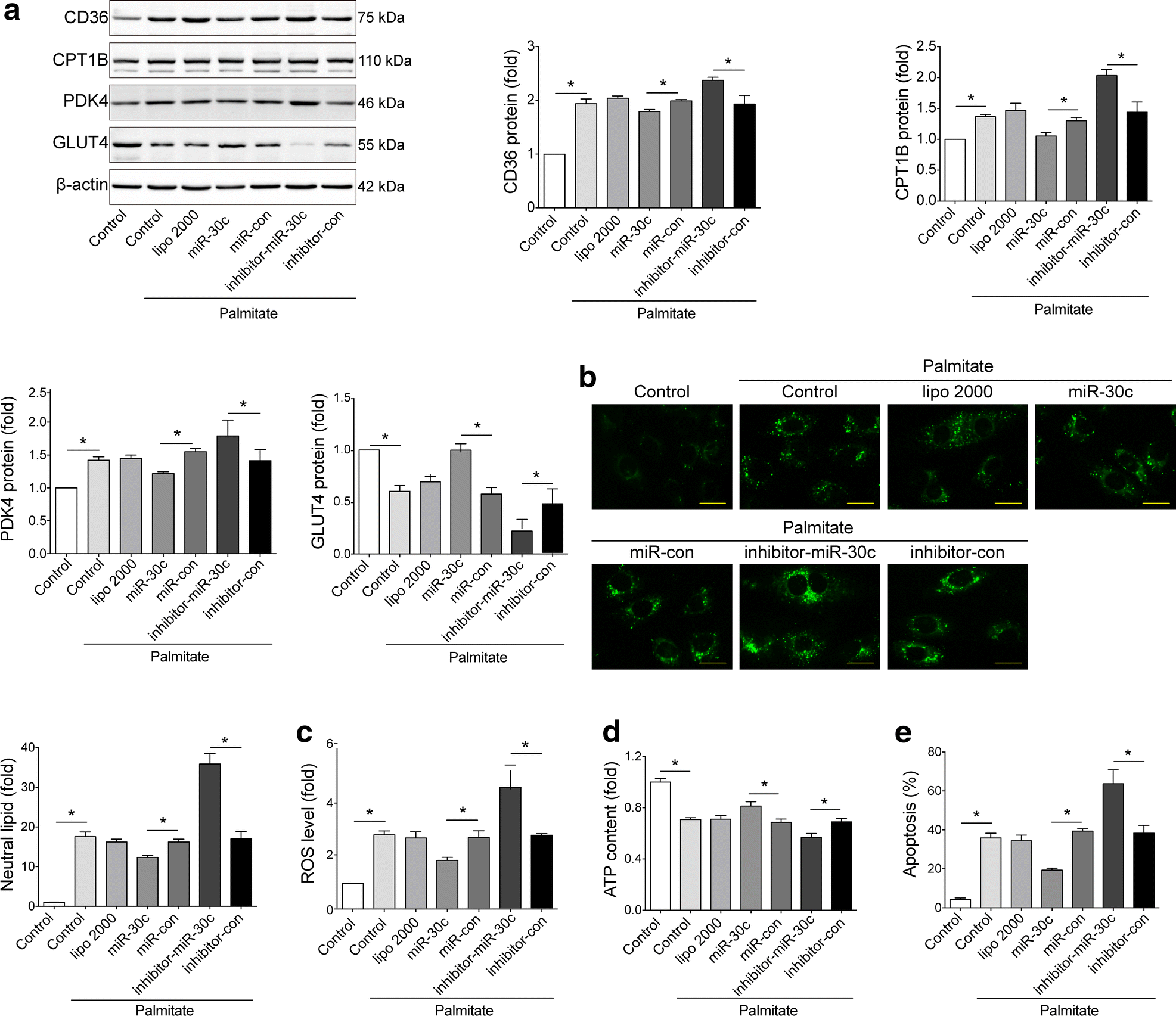 Fig. 4