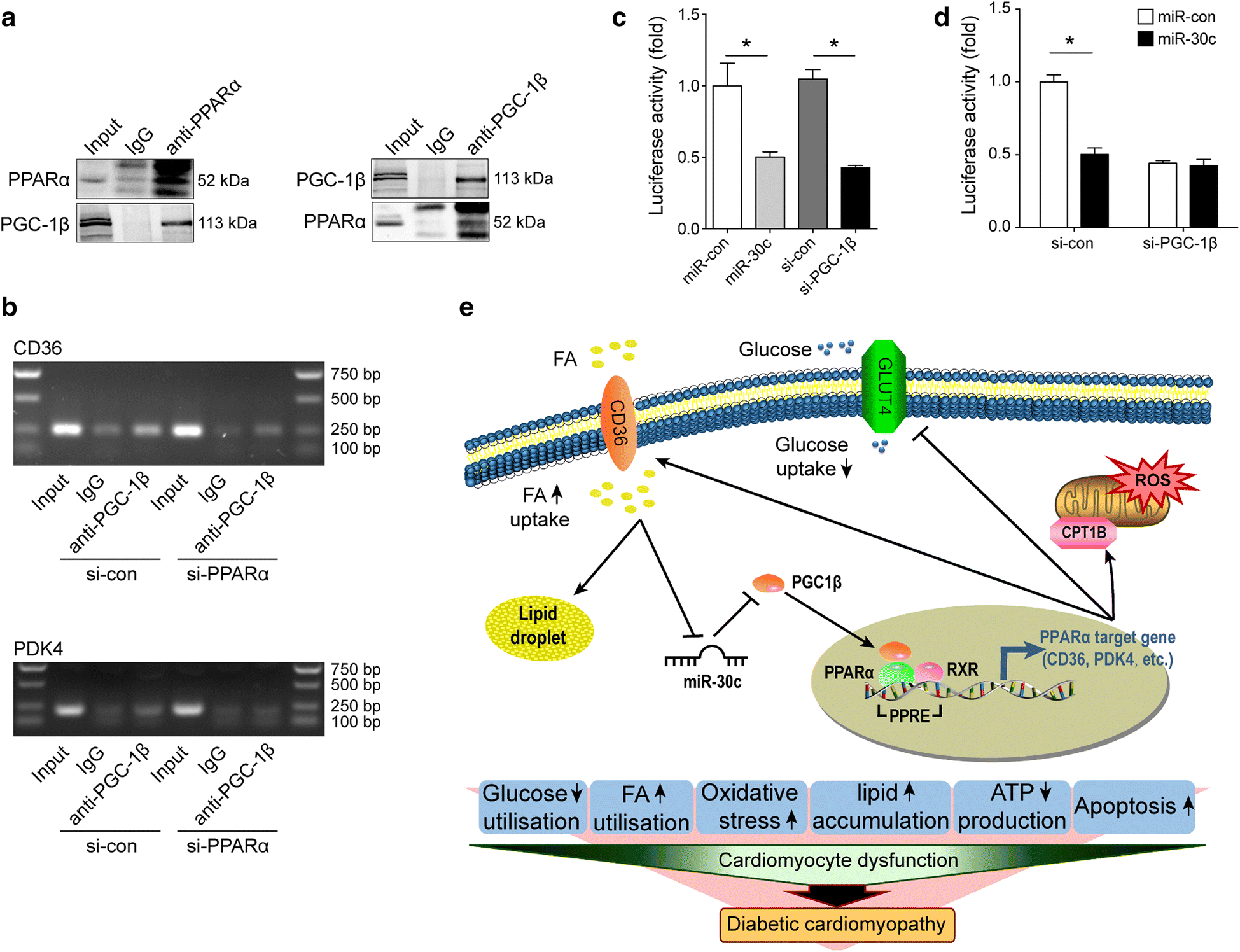 Fig. 6