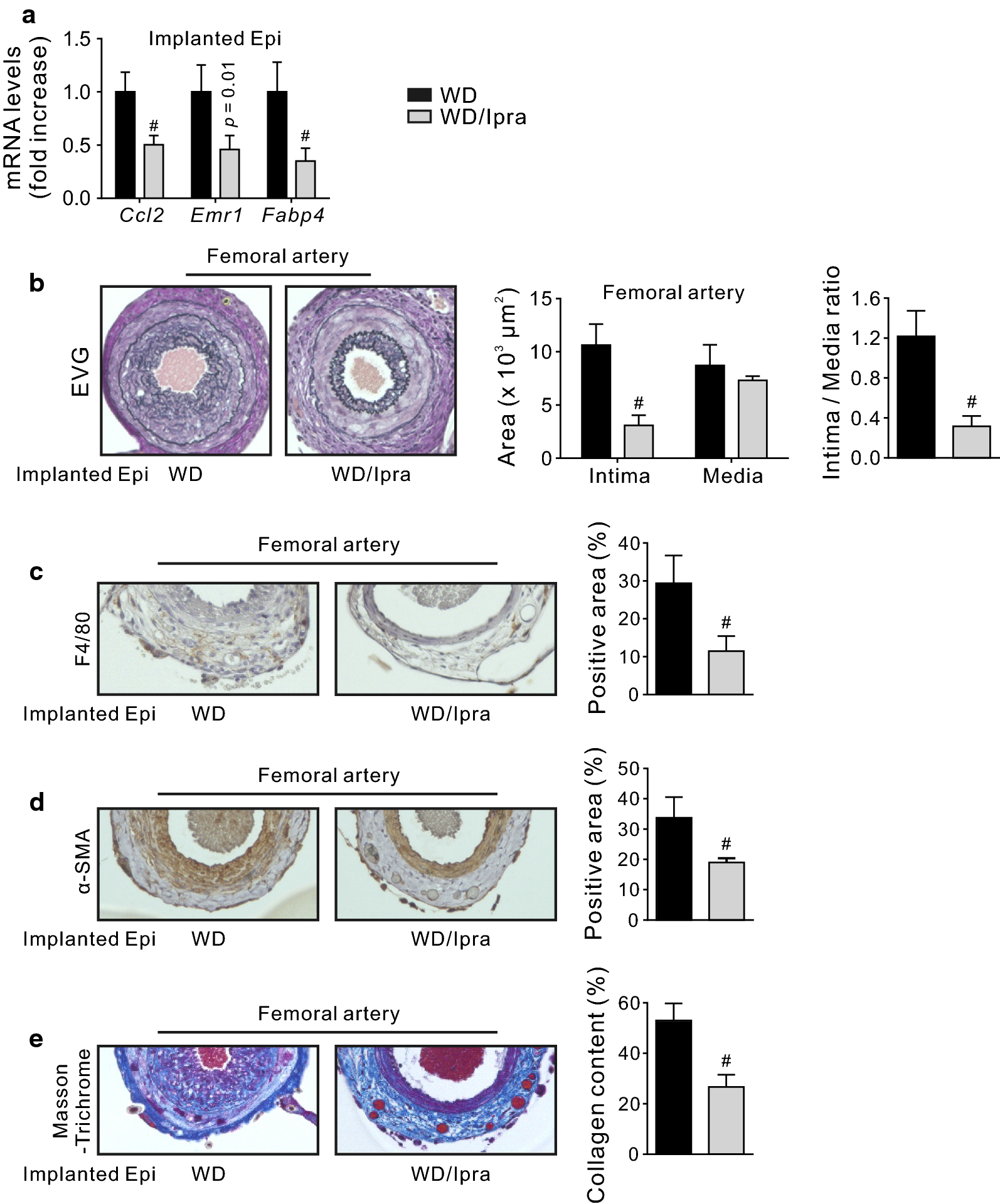 Fig. 4