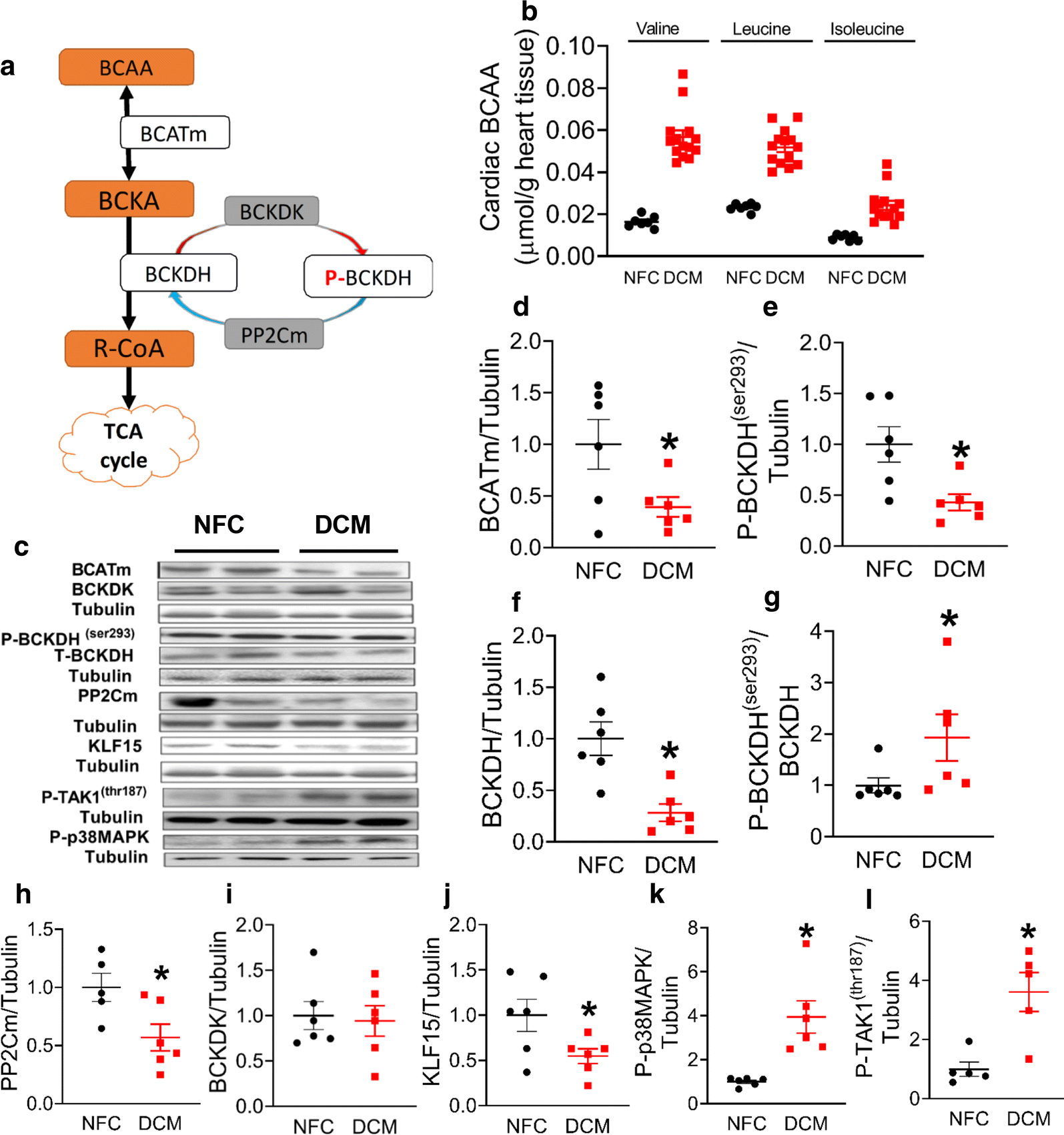 Fig. 2