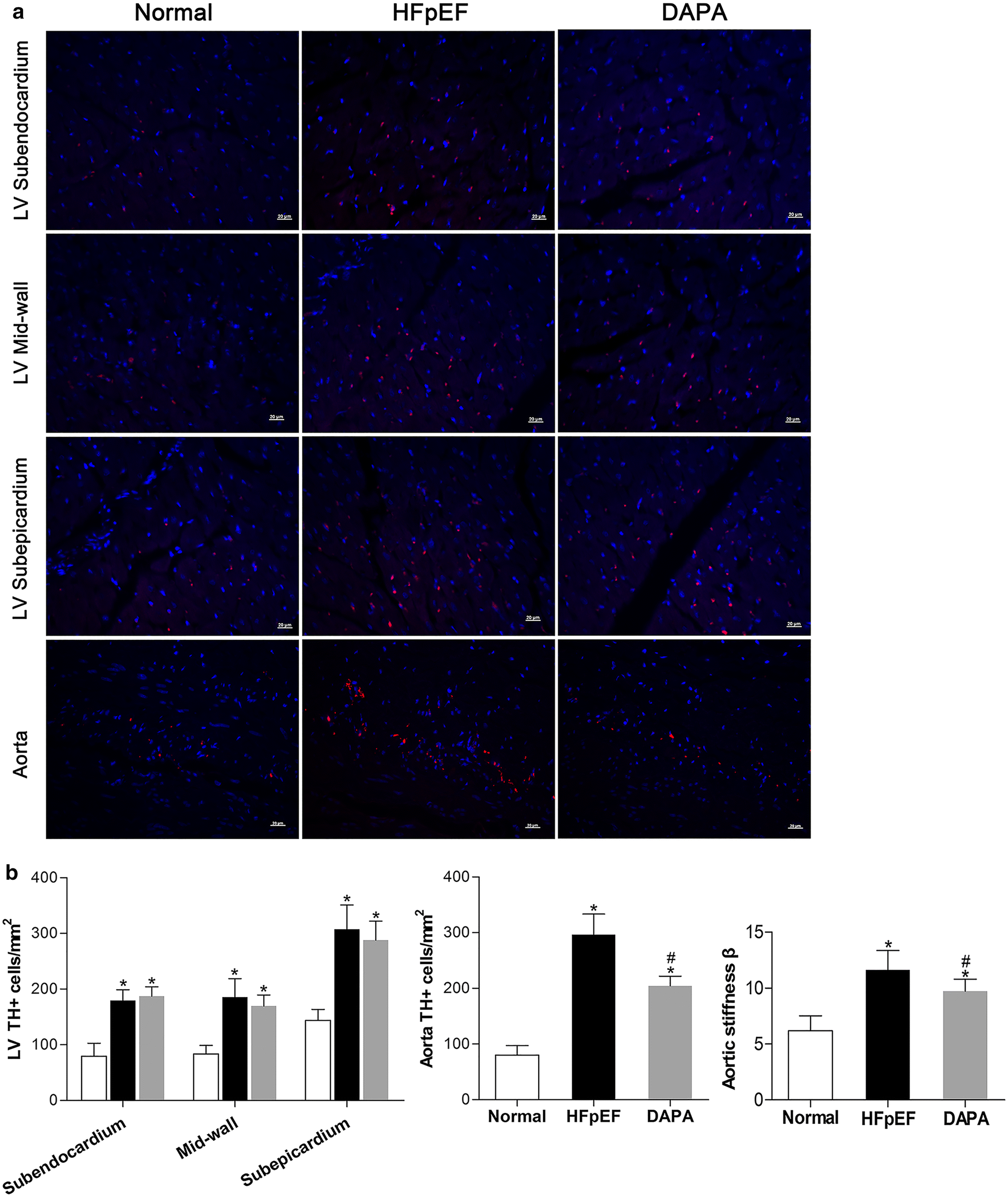 Fig. 7