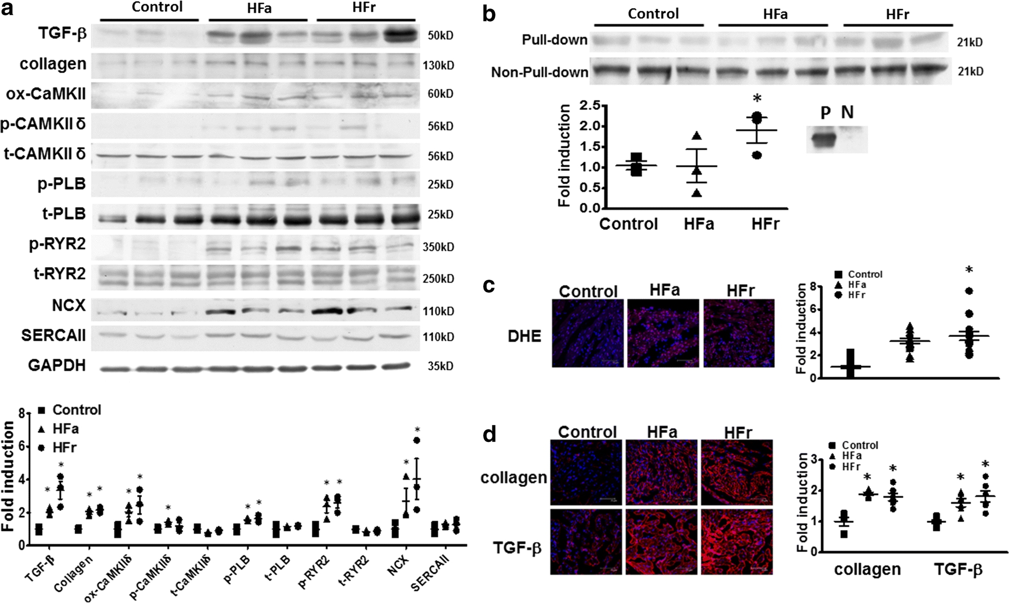 Fig. 6