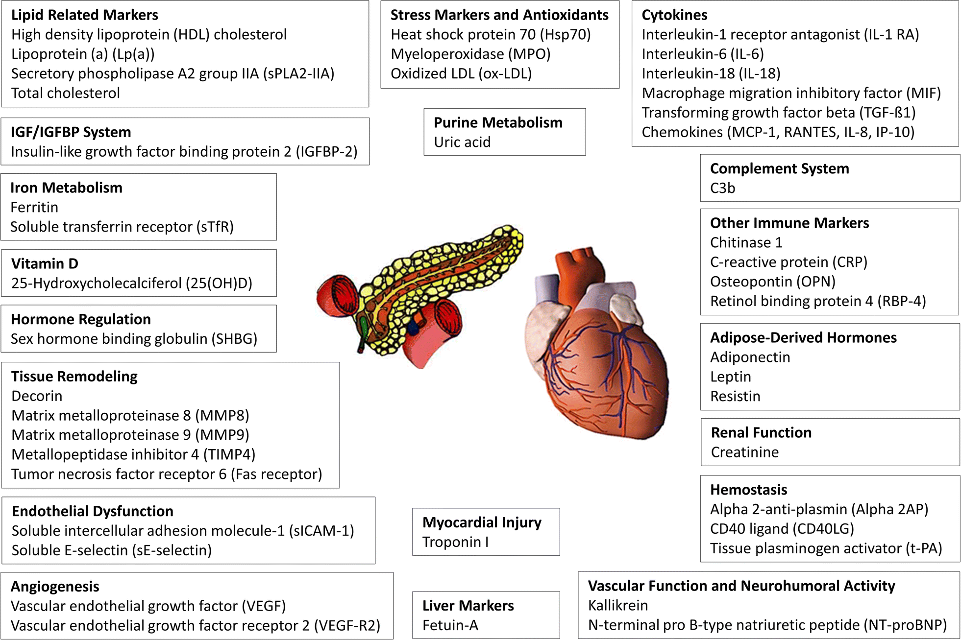 Fig. 1