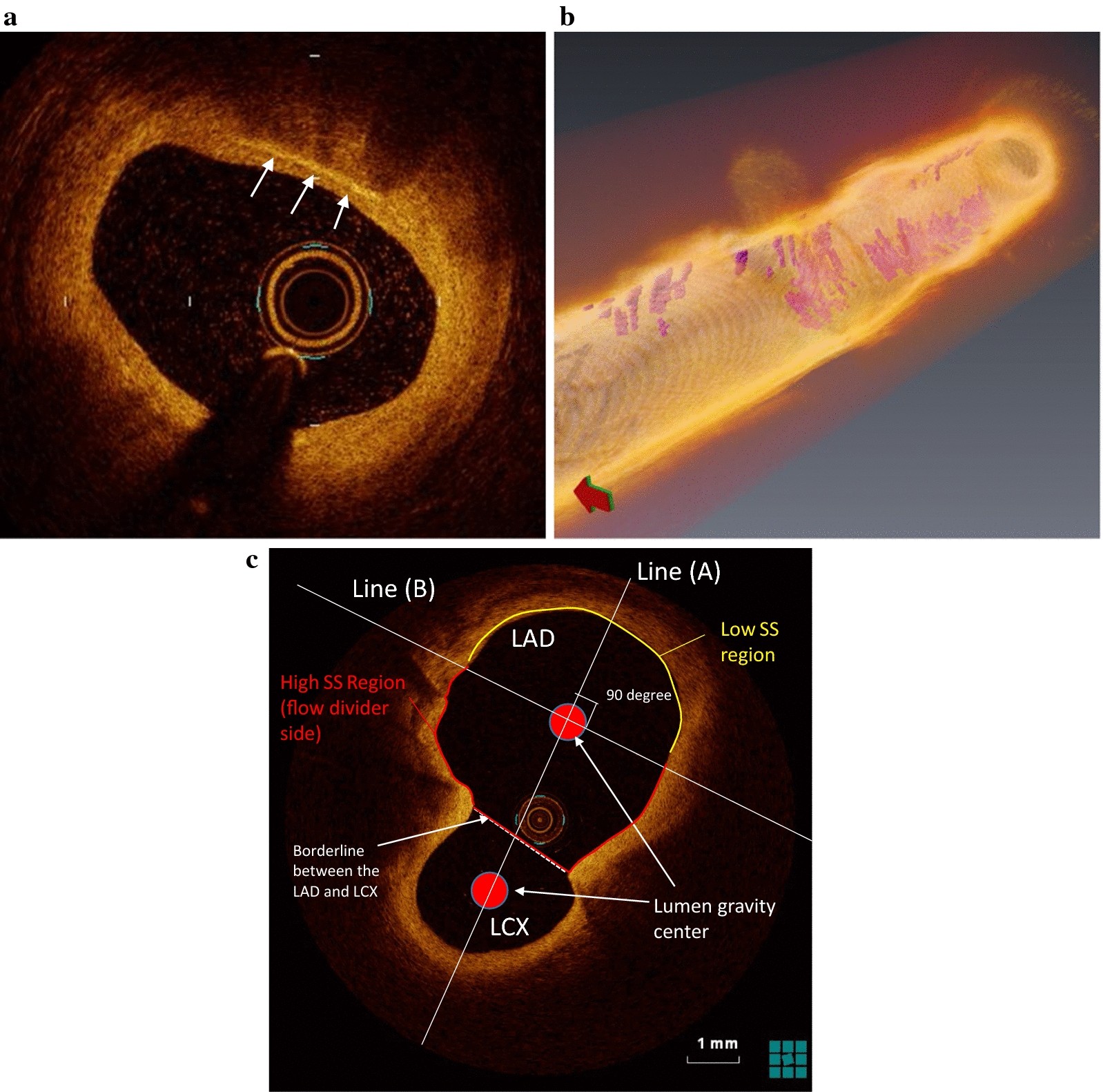 Fig. 1