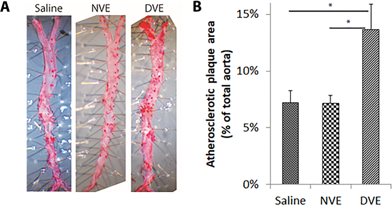 Fig. 8