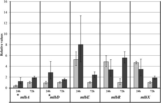 Figure 5