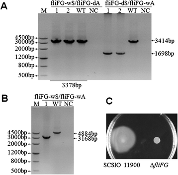 Figure 7