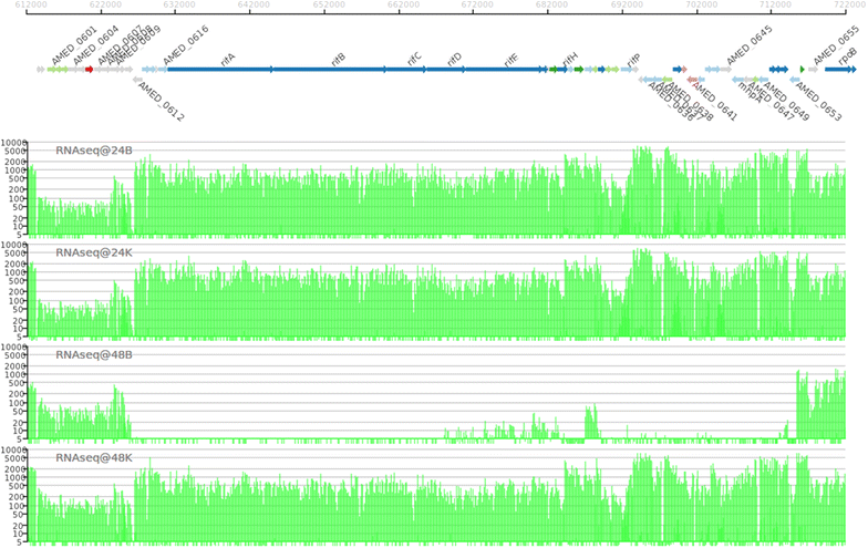 Figure 4