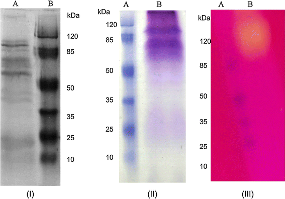 Figure 5