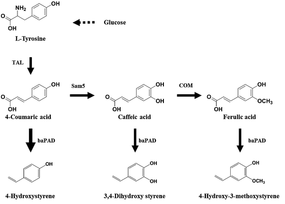 Figure 1