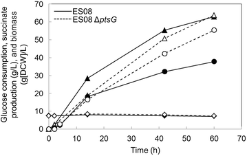 Figure 5