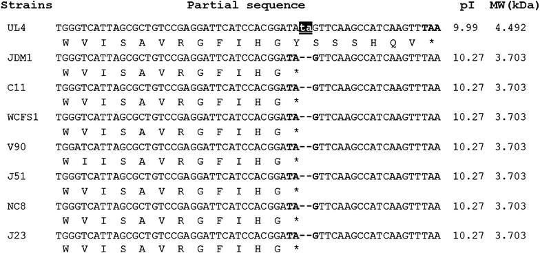 Figure 4