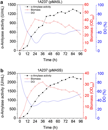 Figure 6