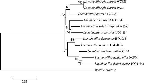 Figure 1