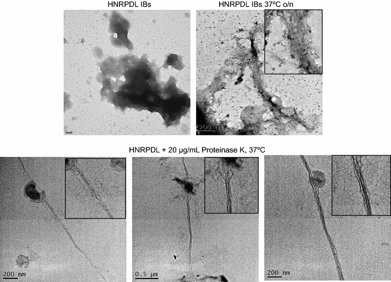 Figure 7