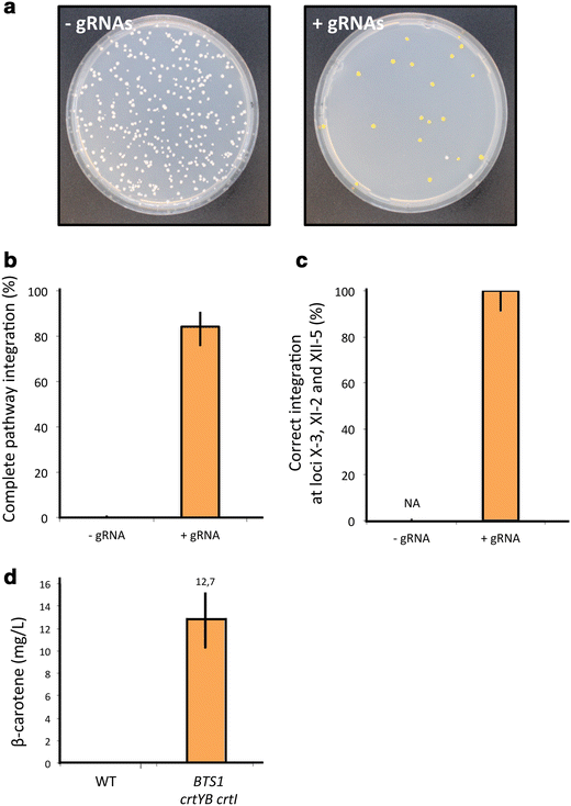 Figure 4