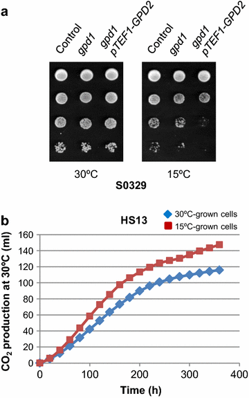 Figure 5