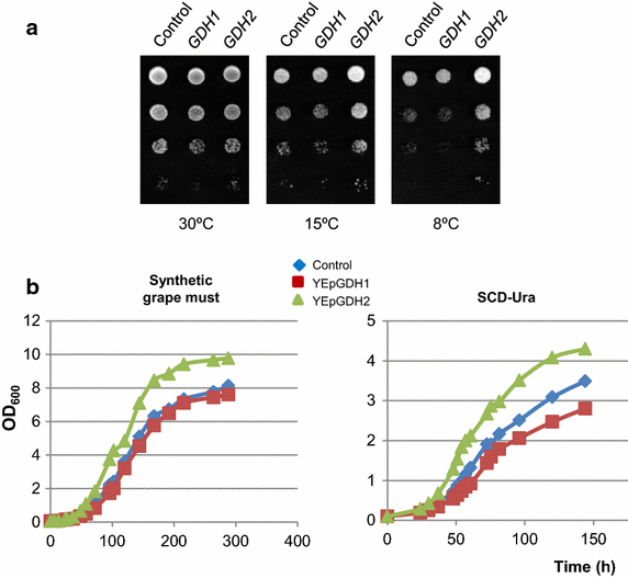 Figure 6