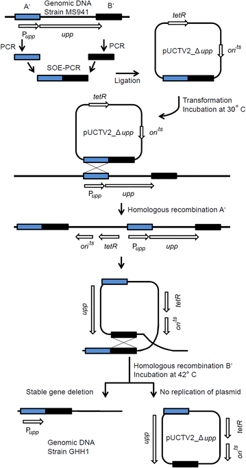 Fig. 3