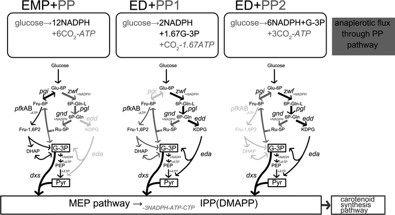 Fig. 9