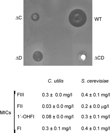 Fig. 7