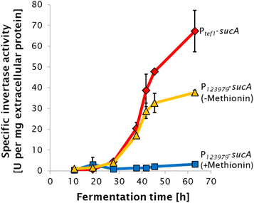 Fig. 5