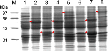 Fig. 2