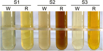 Fig. 3