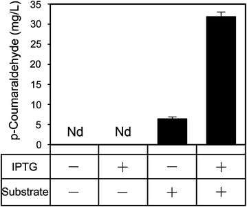 Fig. 4