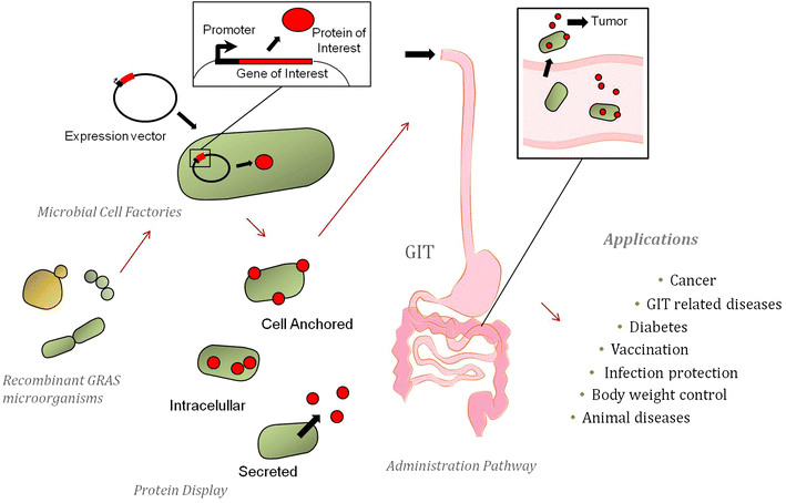 Fig. 1