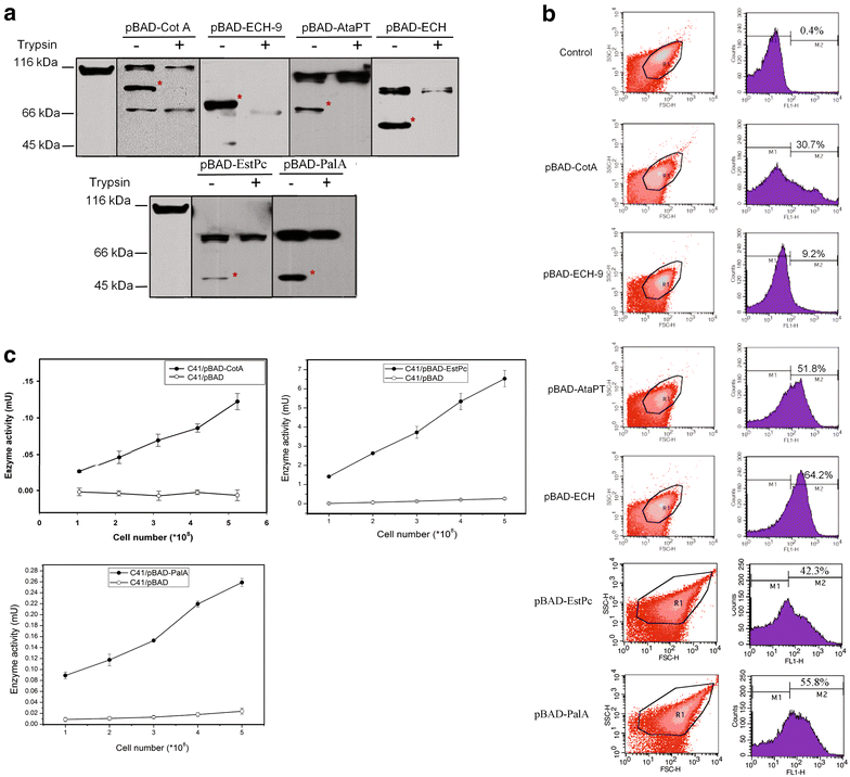 Fig. 3