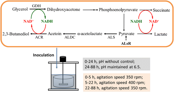 Scheme 1