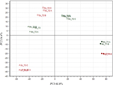 Fig. 2