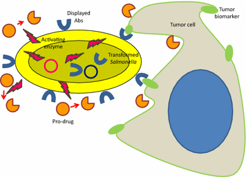 Fig. 5