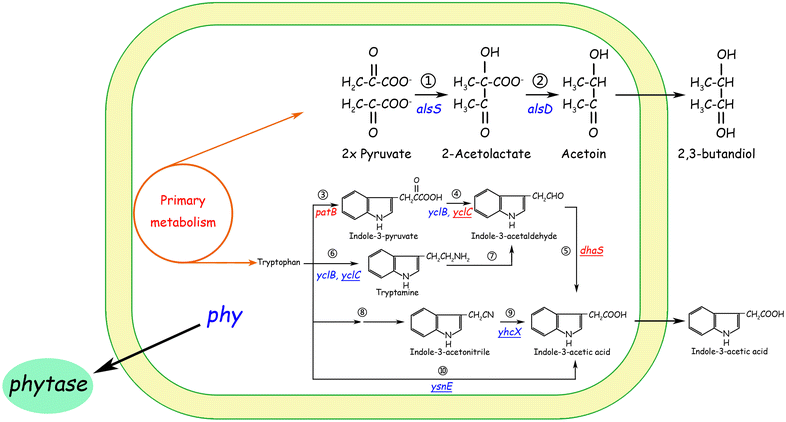 Fig. 3