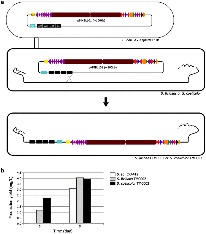 Fig. 3