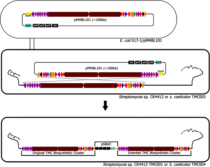 Fig. 4