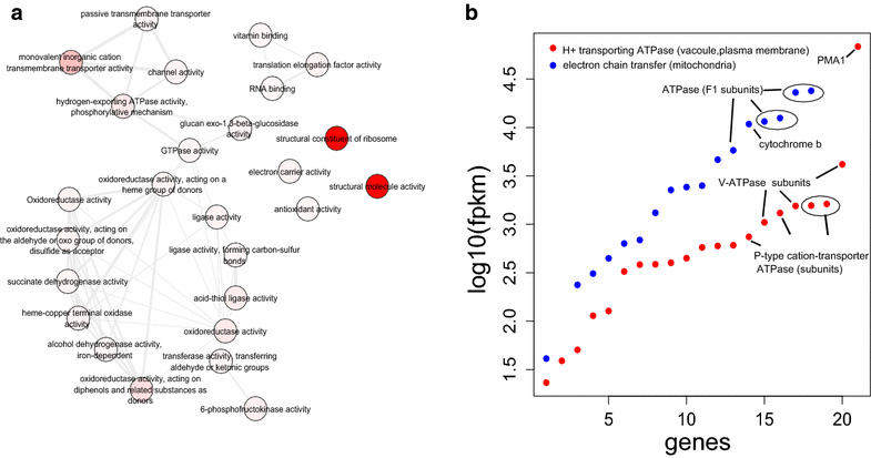 Fig. 3