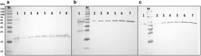 Fig. 6