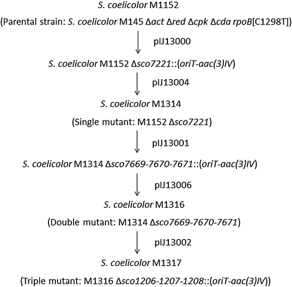 Fig. 2