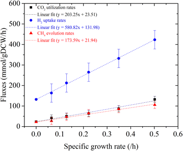 Fig. 3