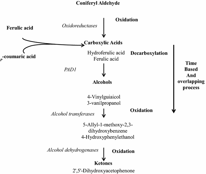 Fig. 7