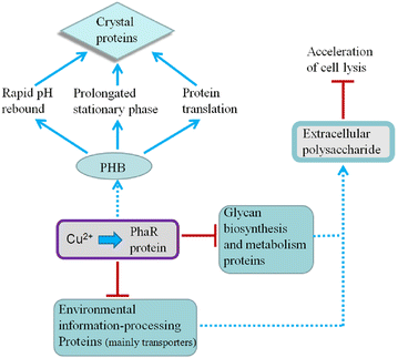 Fig. 9