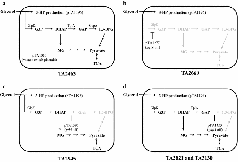 Fig. 2