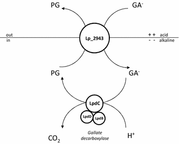 Fig. 3