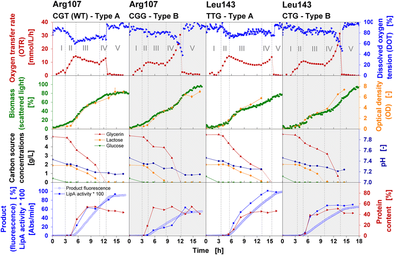 Fig. 4