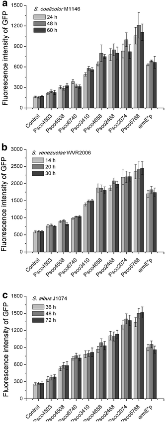 Fig. 3