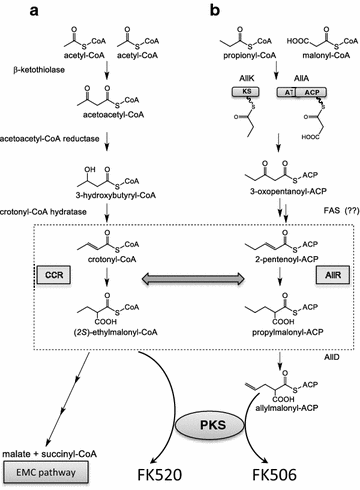 Fig. 1