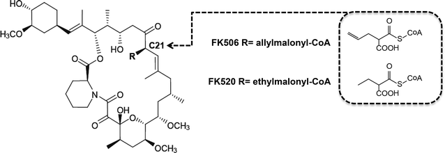 Fig. 2