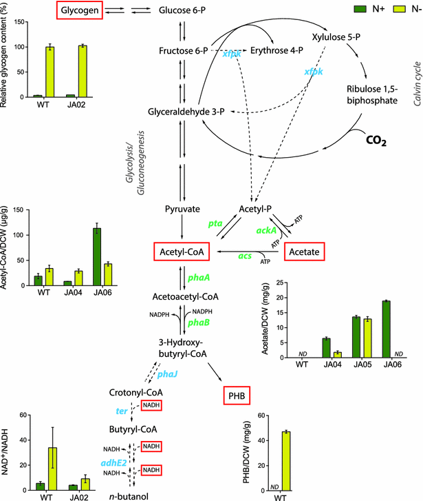 Fig. 3